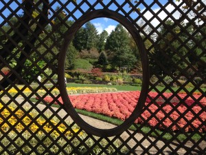 The Biltmore Estate Rose Garden