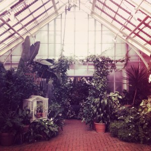 Inside Biltmore Estate's Greenhouse